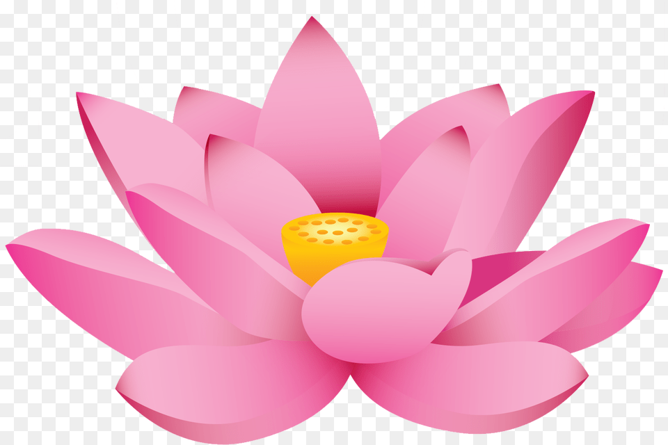 Lotus Flower Cartoon, Lily, Plant, Pond Lily, Tape Png Image