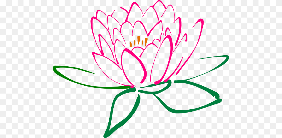 Lotus Flower Clipart, Dahlia, Plant, Petal, Anther Png
