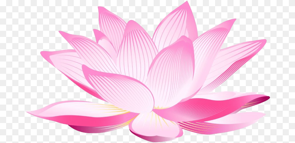 Lotus Flower Clipart All Lotus Flower Transparent Background, Plant, Dahlia, Petal, Lily Png