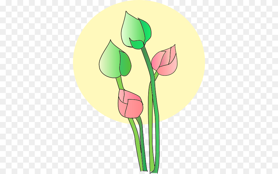 Lotus Flower Flower Lotus Flower Lotus And Flower, Plant, Bud, Sprout, Tulip Png Image