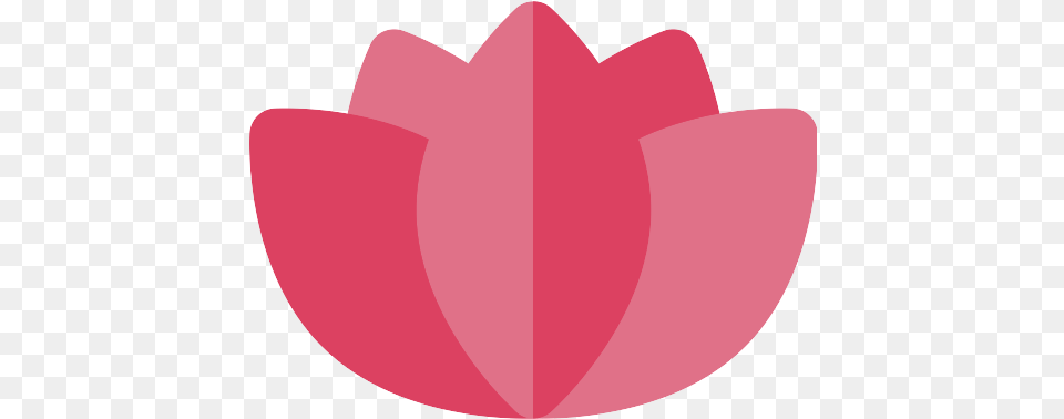 Lotus Flower Icon Graphic Design, Petal, Plant, Tulip Free Transparent Png