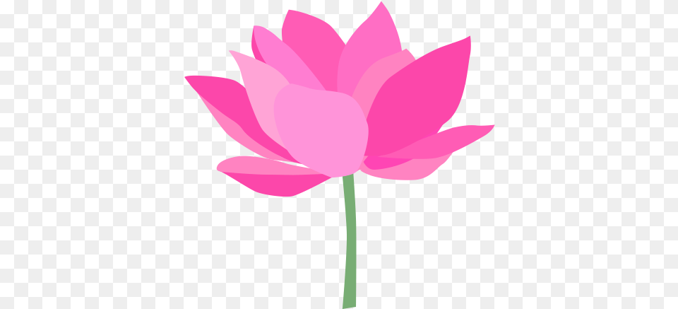 Lotus Flower Icon Vector Graphics, Petal, Plant, Lily, Pond Lily Free Transparent Png