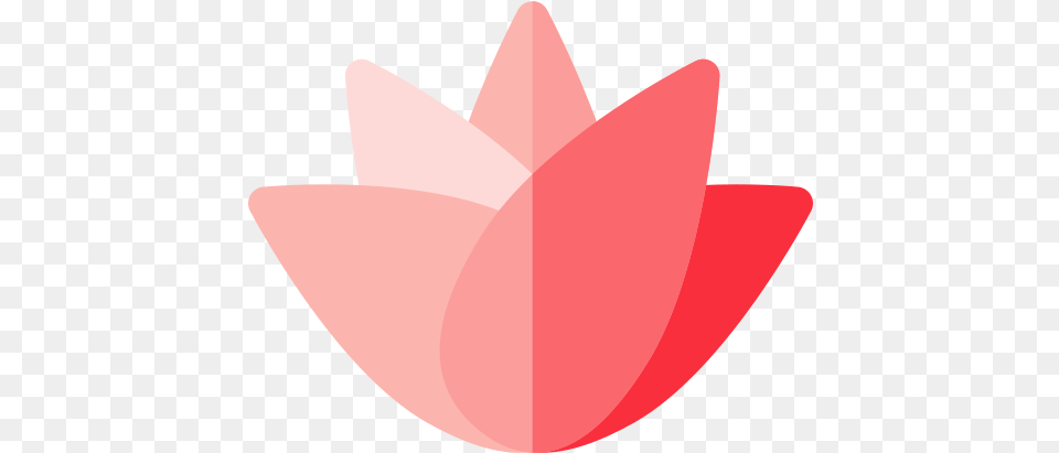 Lotus Flower Lotus Flower Icon, Clothing, Hat, Plant, Petal Png