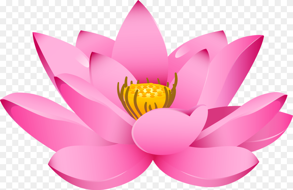 Lotus Flower Lotus Hd, Plant, Lily, Dahlia, Pond Lily Png
