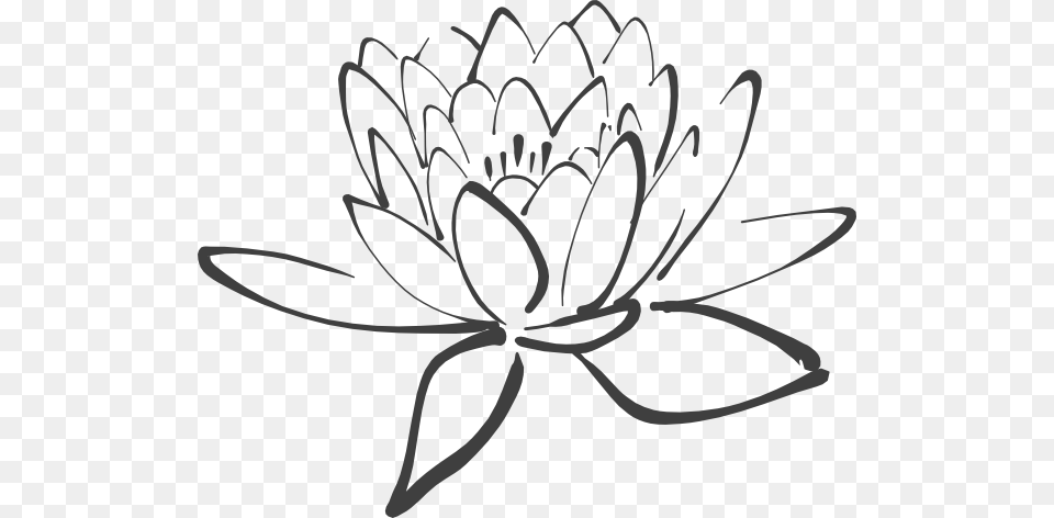 Lotus Flower Outline, Plant, Stencil, Dahlia, Art Free Png