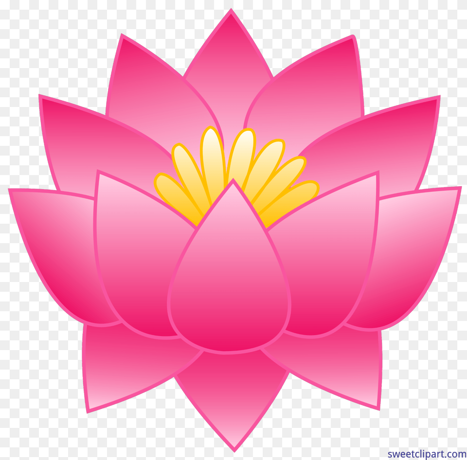 Lotus Flower Pink Clip Art, Dahlia, Plant, Lily, Pond Lily Png