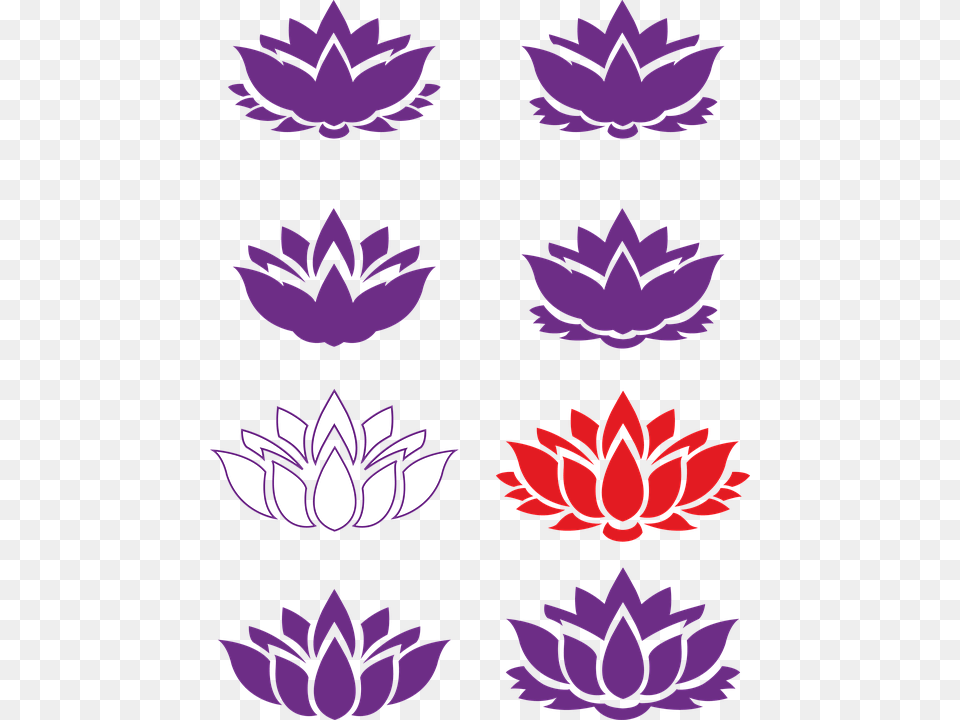 Lotus Flower Silhouette, Purple, Dahlia, Leaf, Plant Free Png