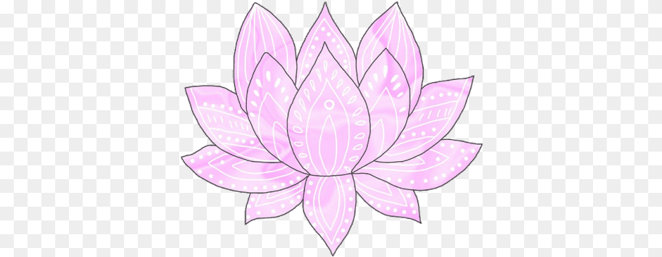 Lotus Flower Transparent, Purple, Plant, Petal, Pattern Png