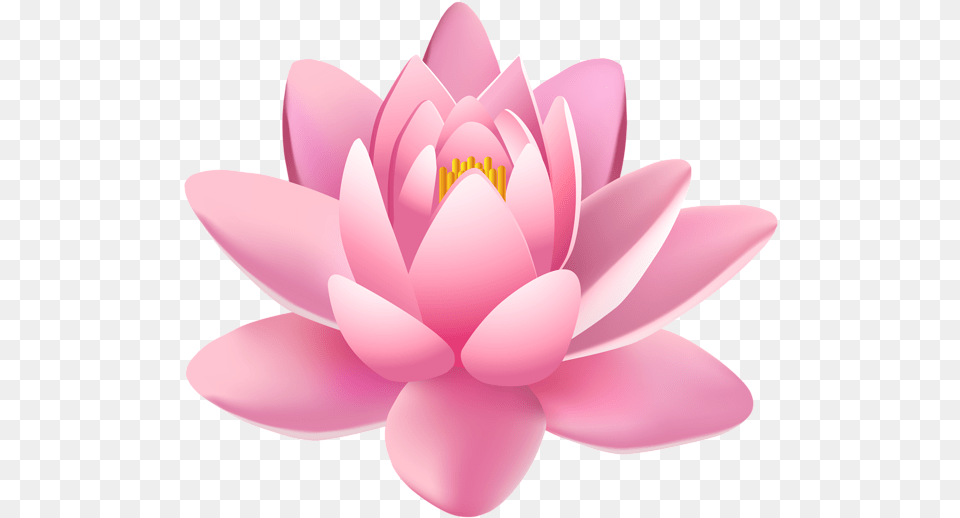 Lotus Flower Transparent Background Lotus Transparent, Dahlia, Lily, Plant, Petal Free Png Download