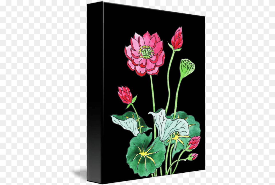 Lotus Flower Watercolor With Black Lotus Flower Black Background, Dahlia, Plant, Art, Floral Design Free Png