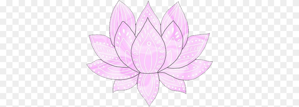 Lotus Flowers Are So Pretty Sacred Lotus, Purple, Plant, Dahlia, Petal Png Image