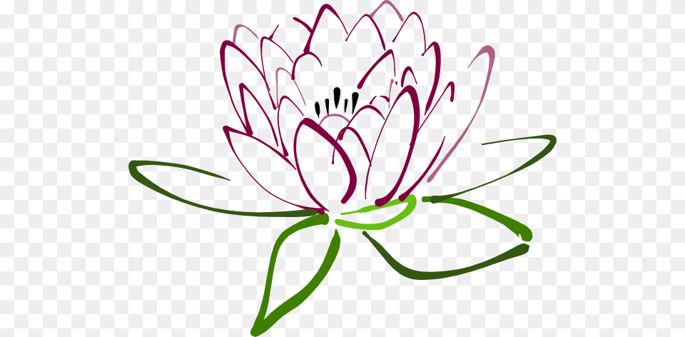Lotus Lilac Clip Art, Dahlia, Flower, Plant, Anther Free Png Download