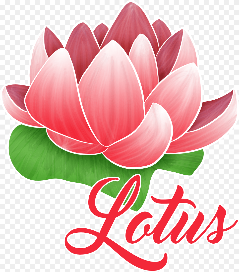 Lotus Logo Red Sacred Lotus, Dahlia, Flower, Petal, Plant Free Png