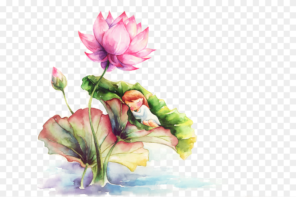 Lotus Paint, Art, Plant, Floral Design, Flower Png