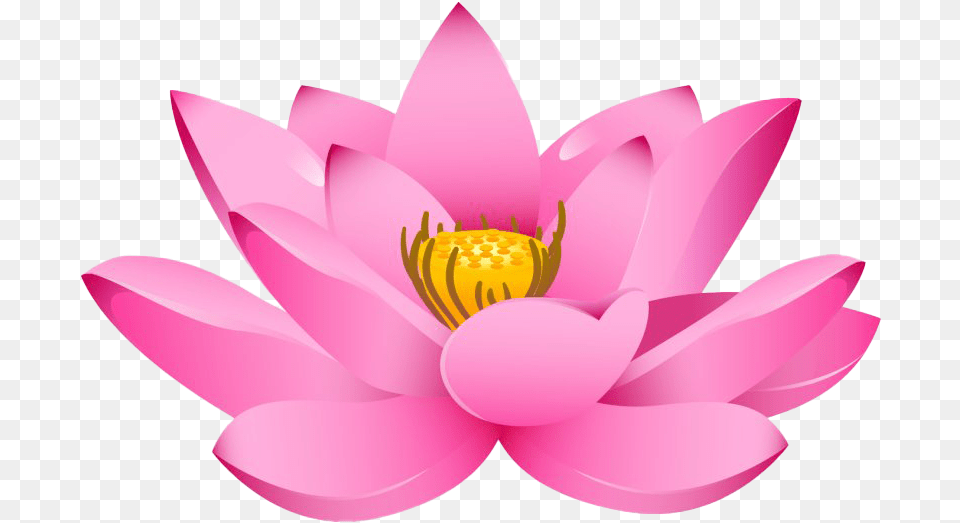 Lotus Transparent All Clipart Lotus Flower, Lily, Plant, Pond Lily, Appliance Free Png