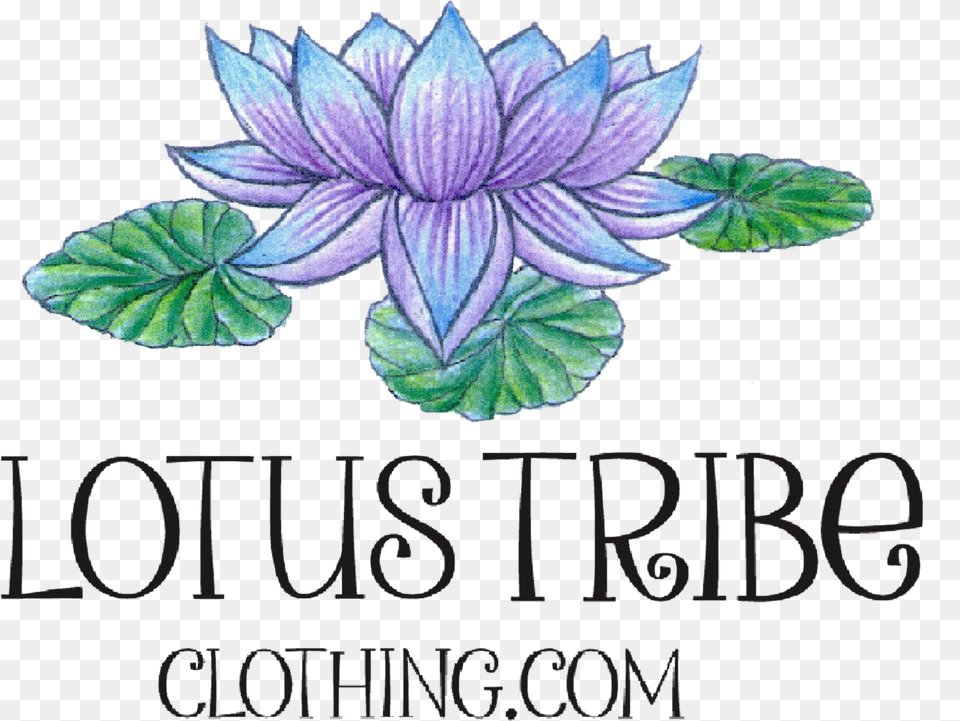 Lotus Tribe Clothing Sacred Lotus, Dahlia, Flower, Herbal, Herbs Png Image