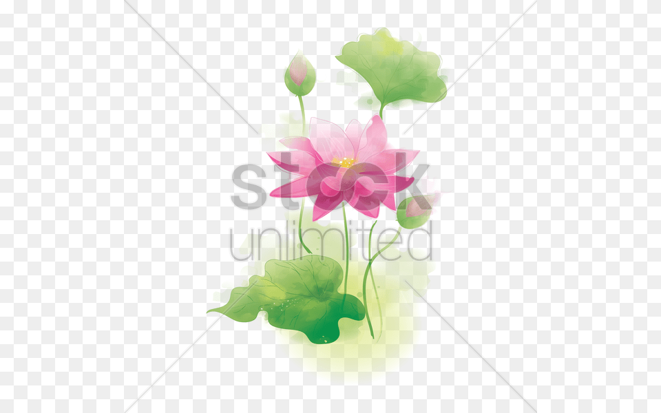 Lotus Vector Image, Art, Floral Design, Flower, Flower Arrangement Png