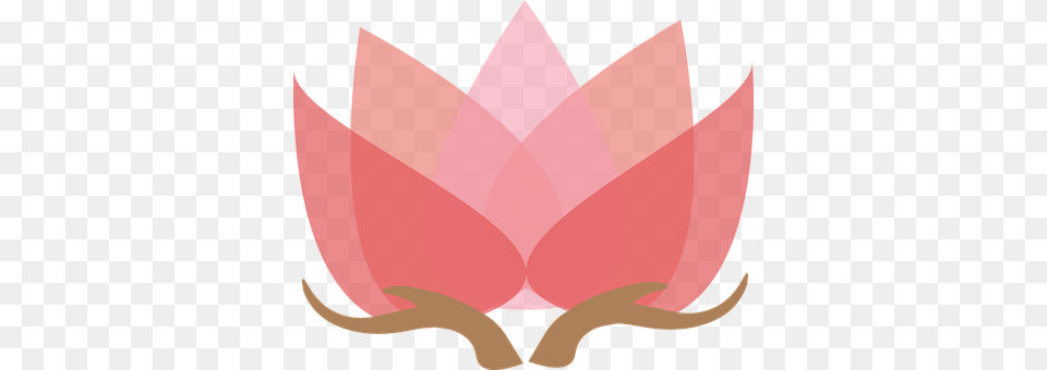 Lotus With Hands Flower, Petal, Plant, Leaf Free Png