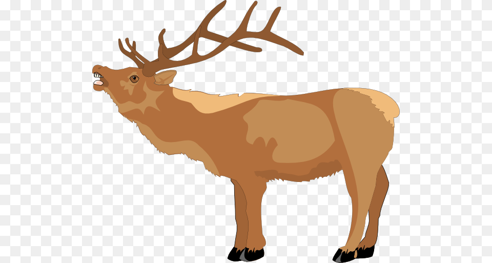 Loud Animal Clip Art, Deer, Elk, Mammal, Wildlife Free Png