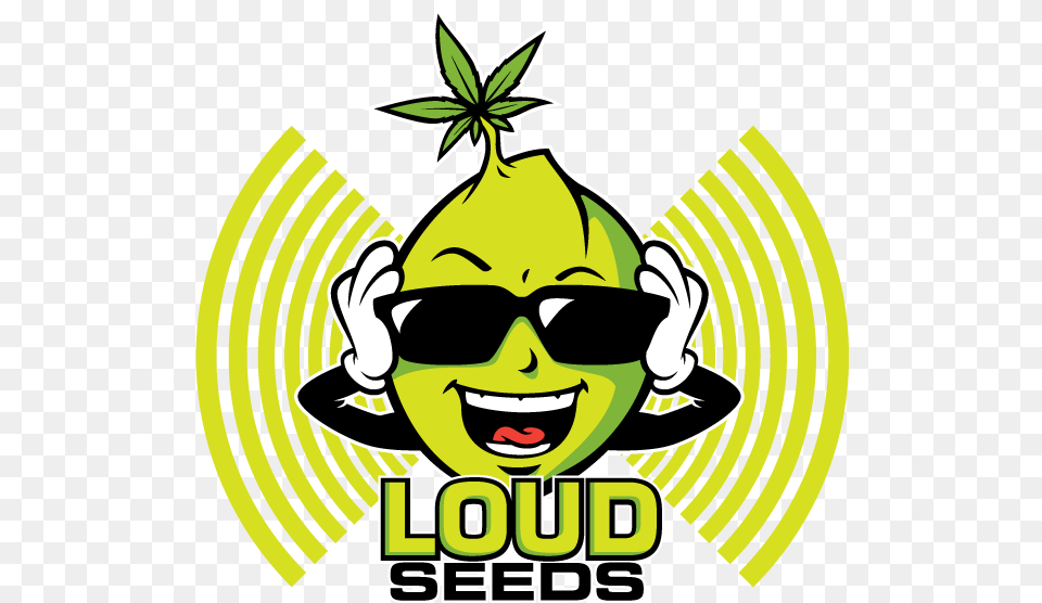 Loud Seeds, Accessories, Sunglasses, Green, Face Free Transparent Png