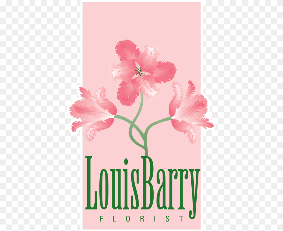 Louis Barry Florist, Flower, Plant, Envelope, Greeting Card Free Png