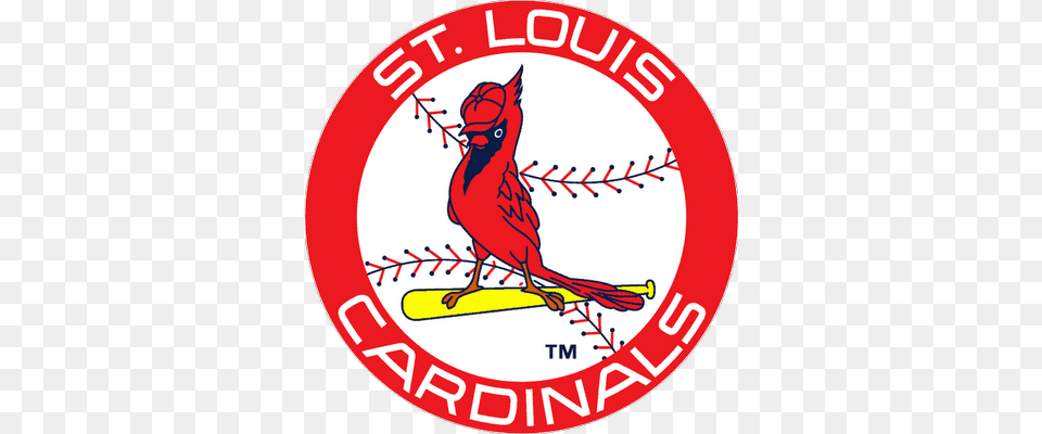 Louis Cardinals Let39s Sweep The Rangers 1967 St Louis Cardinals Logo, Animal, Bird, Cardinal Free Transparent Png