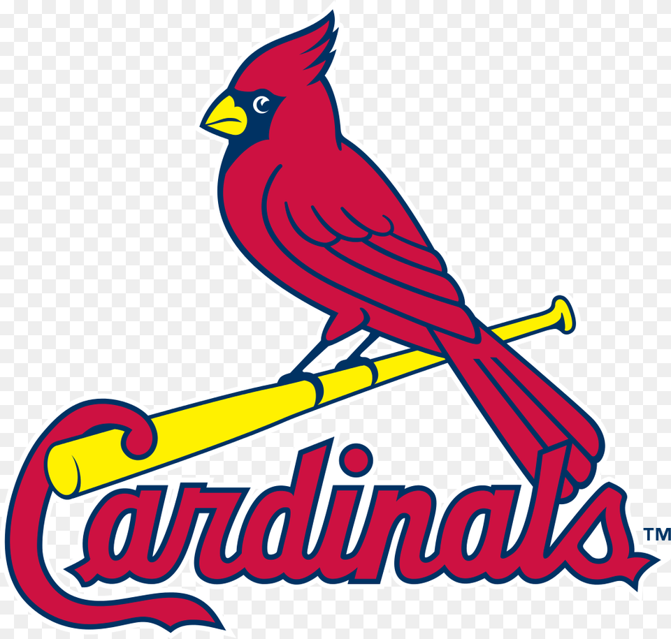 Louis Cardinals Logo Stl Cardinals Logo, Animal, Bird, Cardinal Free Transparent Png