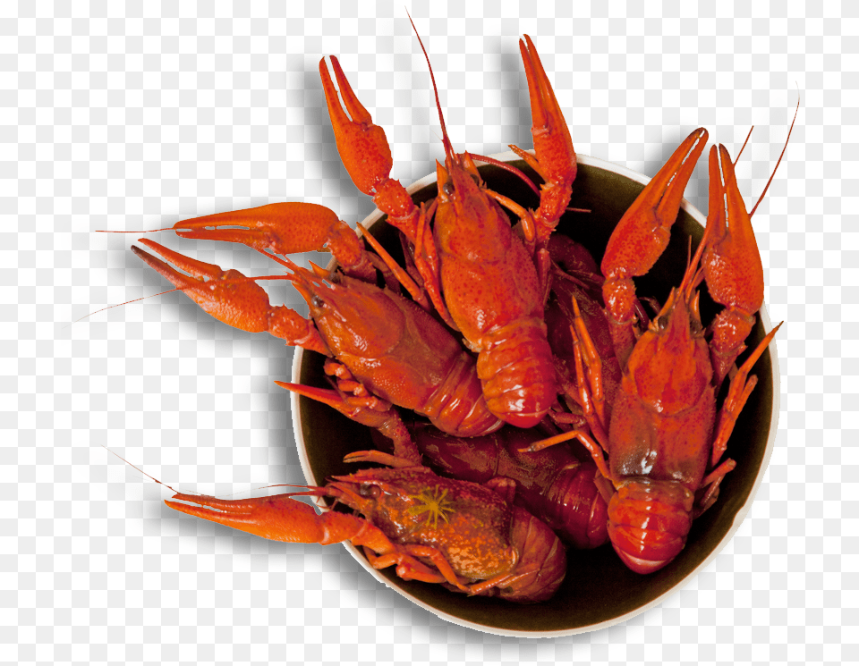 Louisiana Svg Crawfish Banner Library Library Crayfish, Food, Seafood, Animal, Invertebrate Free Png Download
