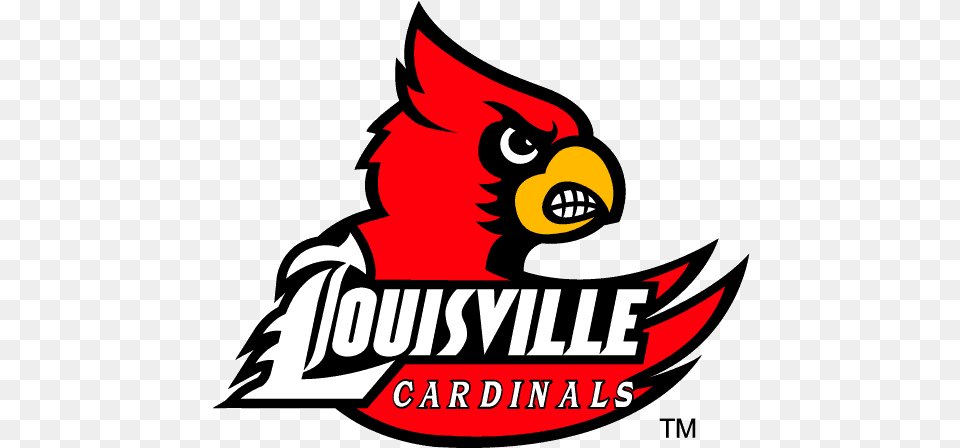 Louisville Cardinals Basketball Vector Louisville Cardinals Logo, Dynamite, Weapon, Animal, Bird Png Image