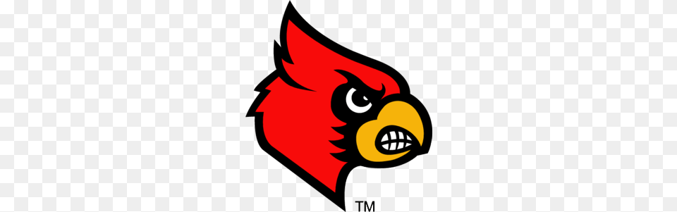 Louisville Cardinals Logo College Football Logos Cardinals, Animal, Beak, Bird, Dynamite Free Png