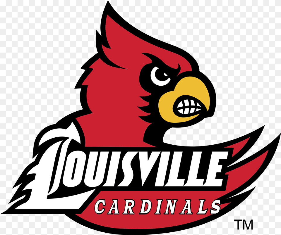 Louisville Cardinals Logo Louisville Basketball Team Logo Free Png