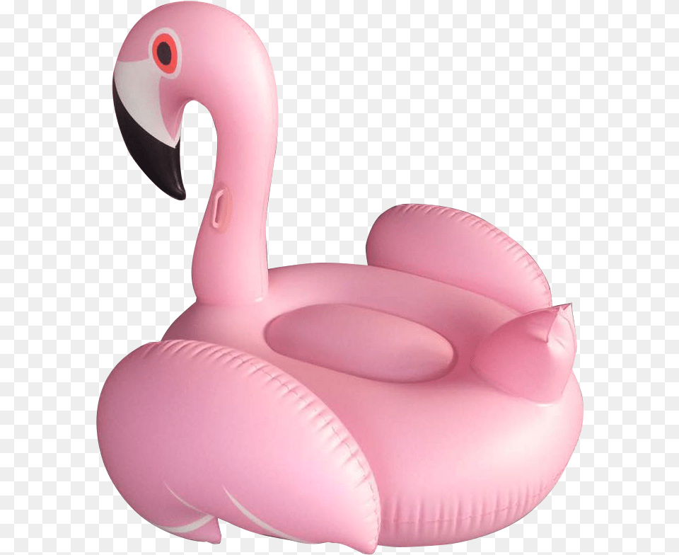 Lounge Float Water Toys, Animal, Bird, Flamingo Free Transparent Png