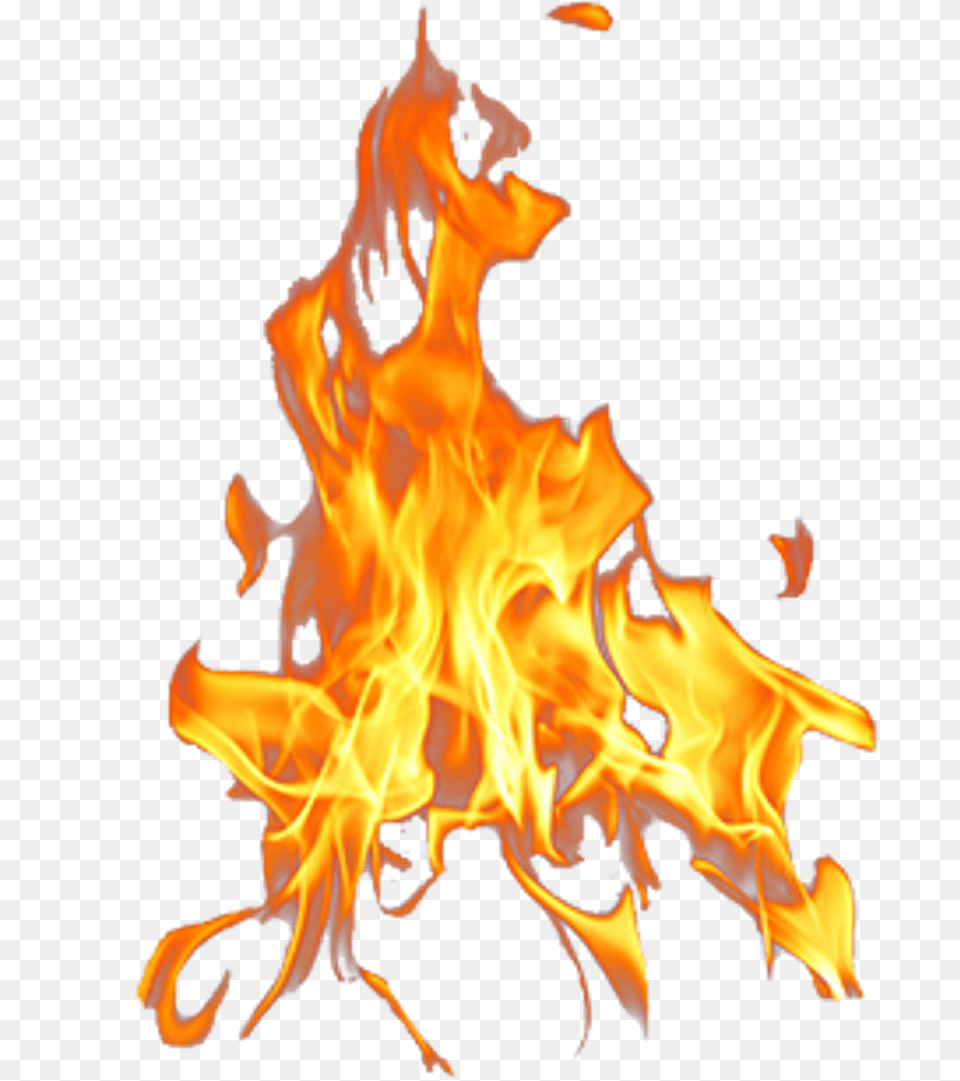 Lourdes Javier Photography Flame Transparent Background Fire, Bonfire Png