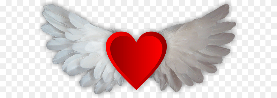 Love Animal, Bird, Symbol Free Png