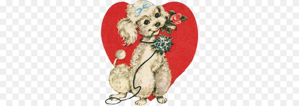 Love Free Transparent Png