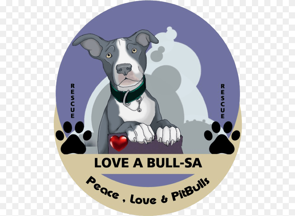 Love Abull Pit Bull Rescue South Africa U2013 Peace Love Pitbulls Collar, Animal, Canine, Dog, Mammal Free Png