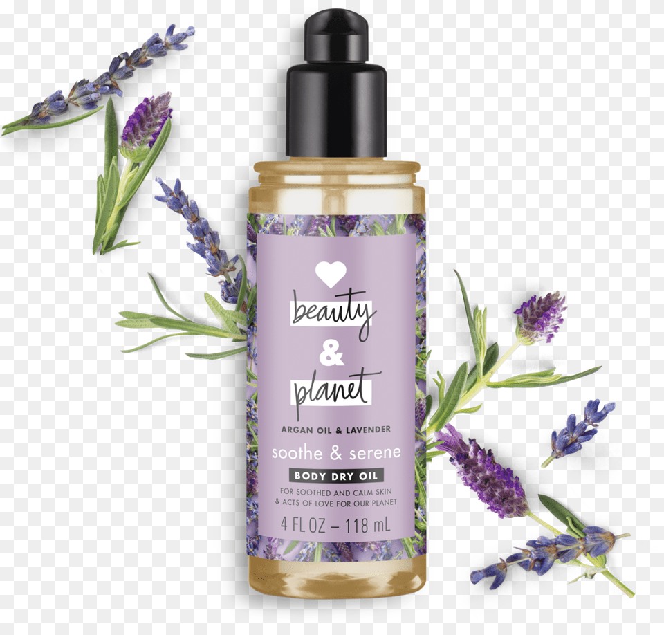 Love Beauty And Planet Argan Oil Amp Lavender Leave In Love Beauty And Planet Lavender Leave, Flower, Herbal, Herbs, Plant Free Png Download