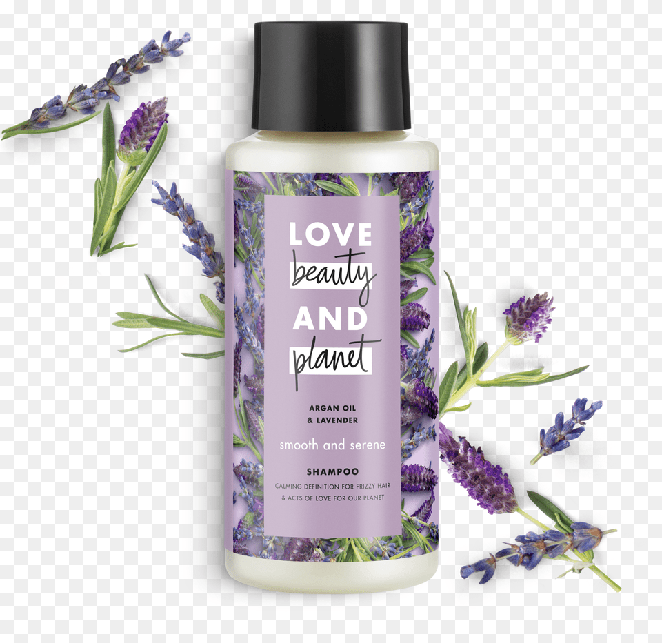 Love Beauty And Planet Argan Oil Amp Lavender Shampoo Love Beauty And Planet Smooth And Serene Reviews Png Image