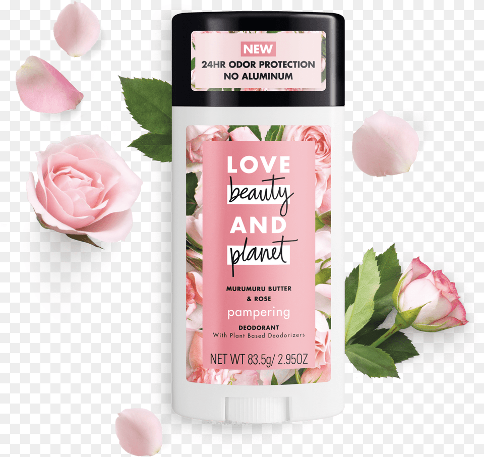 Love Beauty And Planet Butter Rose Deodorant Stick Are Love Beauty Planet Deodorants, Plant, Petal, Flower, Lotion Png Image