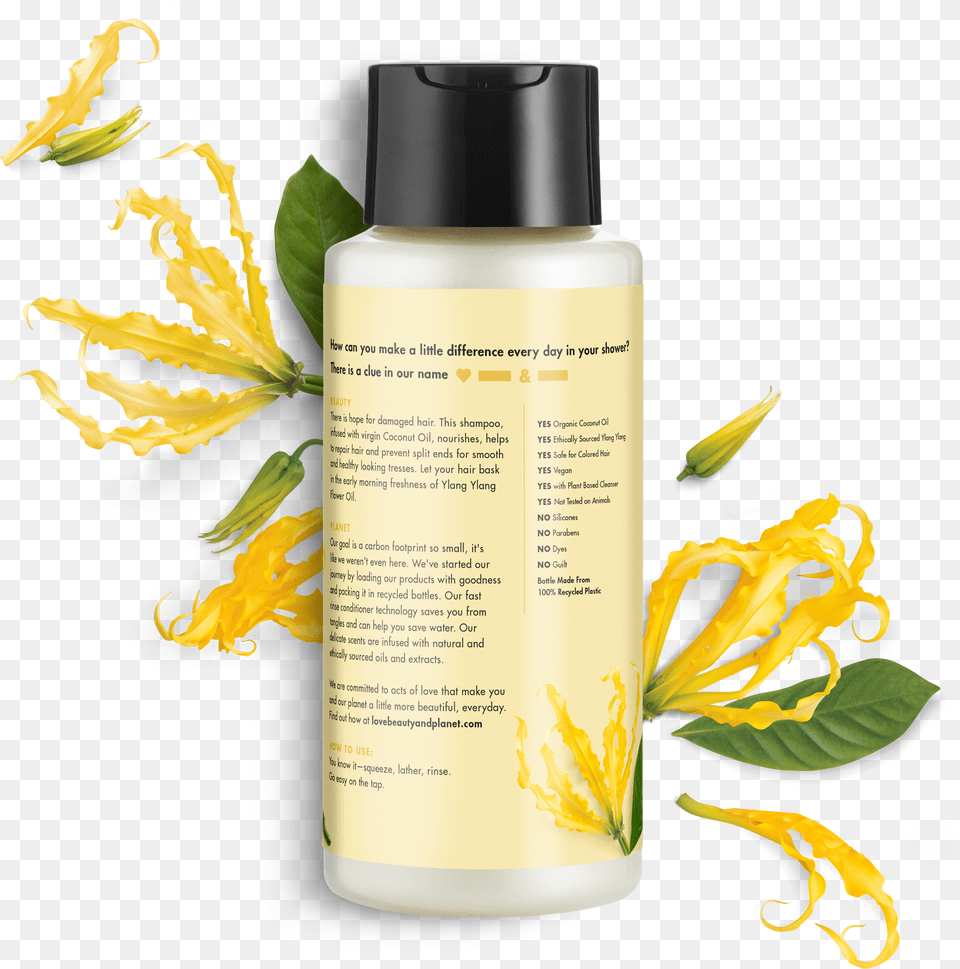 Love Beauty And Planet Coconut Oil Amp Ylang Ylang Shampoo Free Png Download