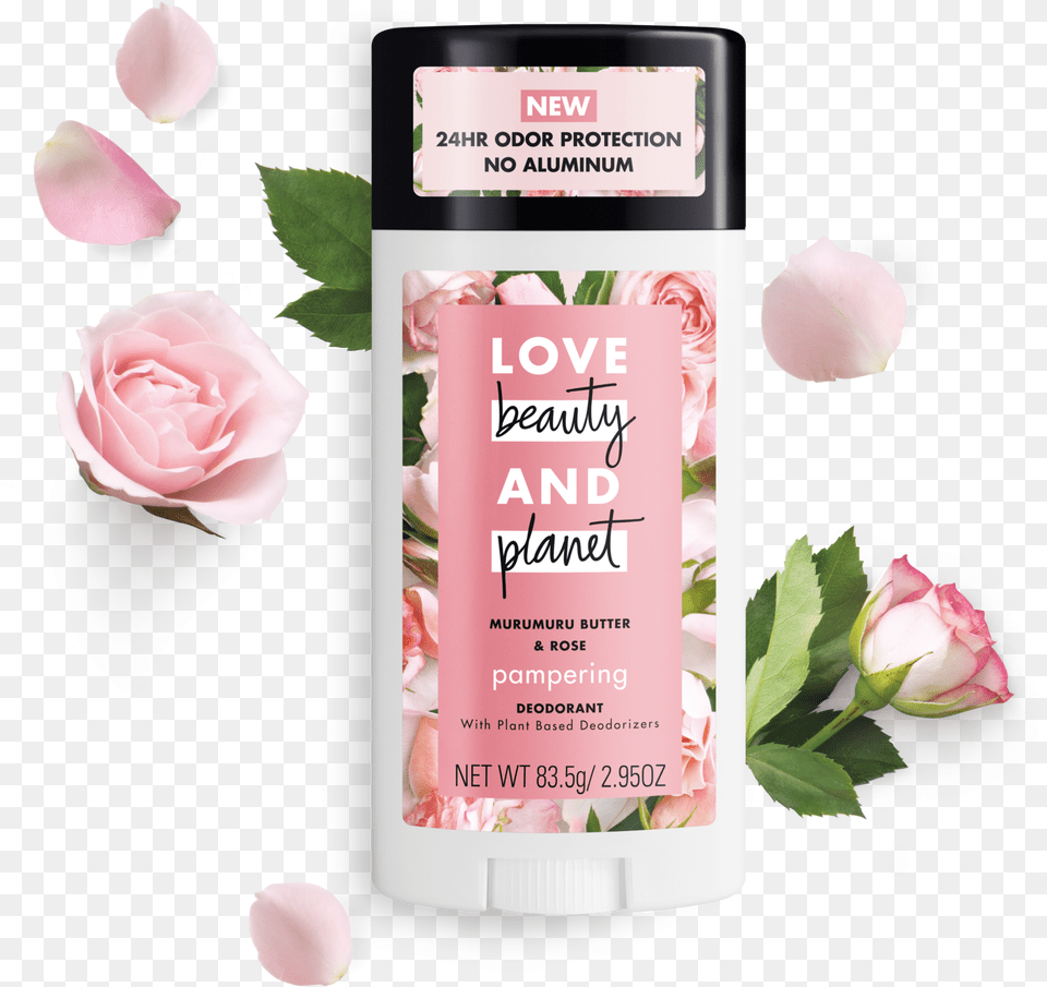 Love Beauty And Planet Deodorant, Flower, Petal, Plant, Rose Png
