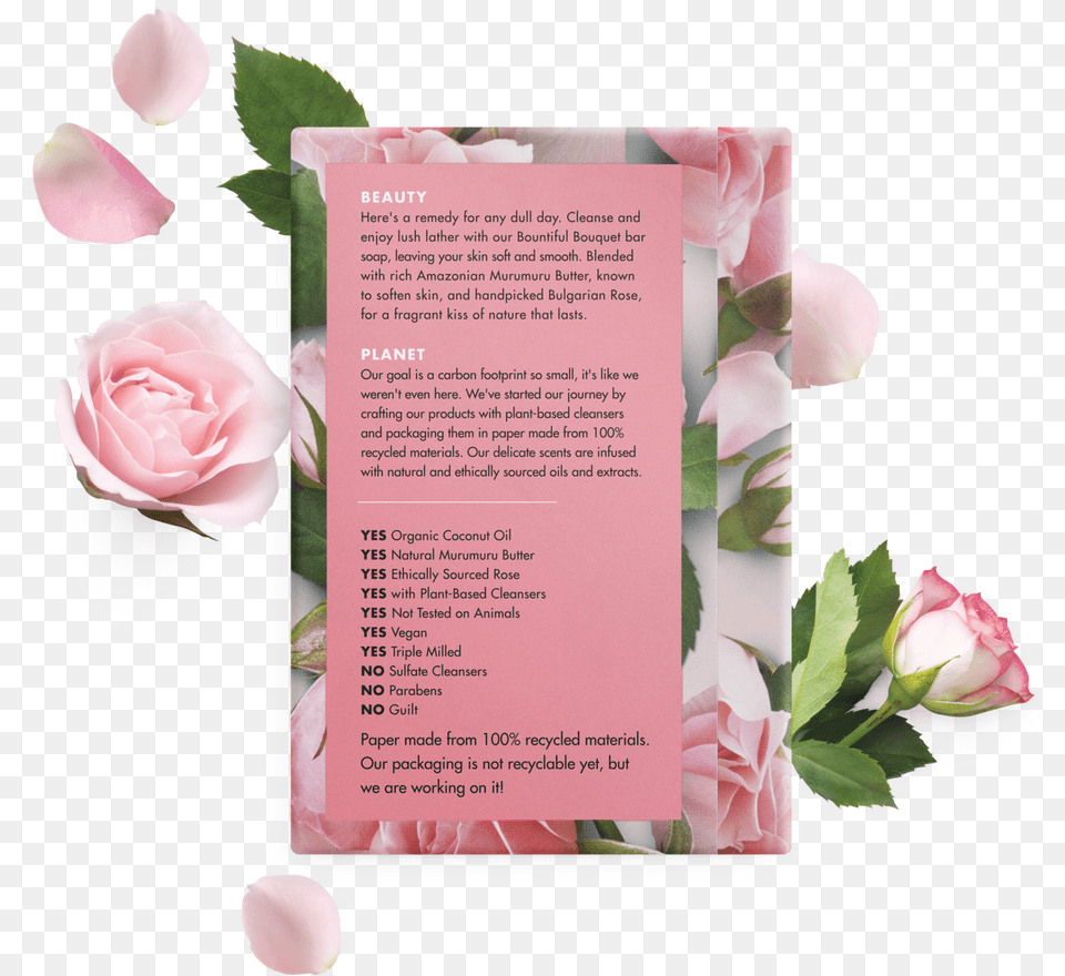 Love Beauty And Planet Murumuru Butter Amp Rose Body Garden Roses, Advertisement, Flower, Petal, Plant Png