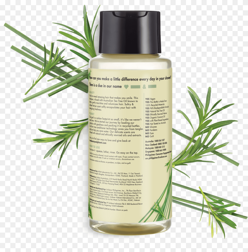 Love Beauty And Planet Tea Tree Body Wash, Bottle, Herbal, Herbs, Plant Png