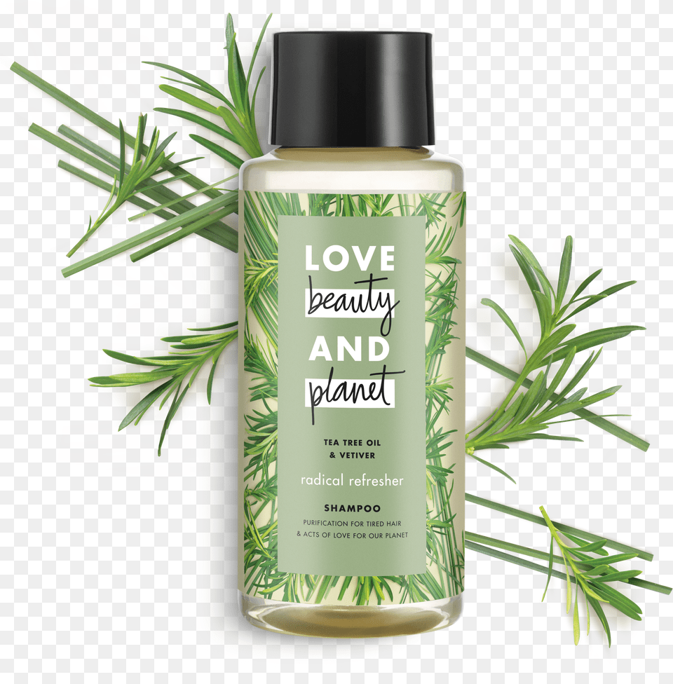 Love Beauty And Planet Tea Tree Oil Amp Vetiver Shampoo Png Image