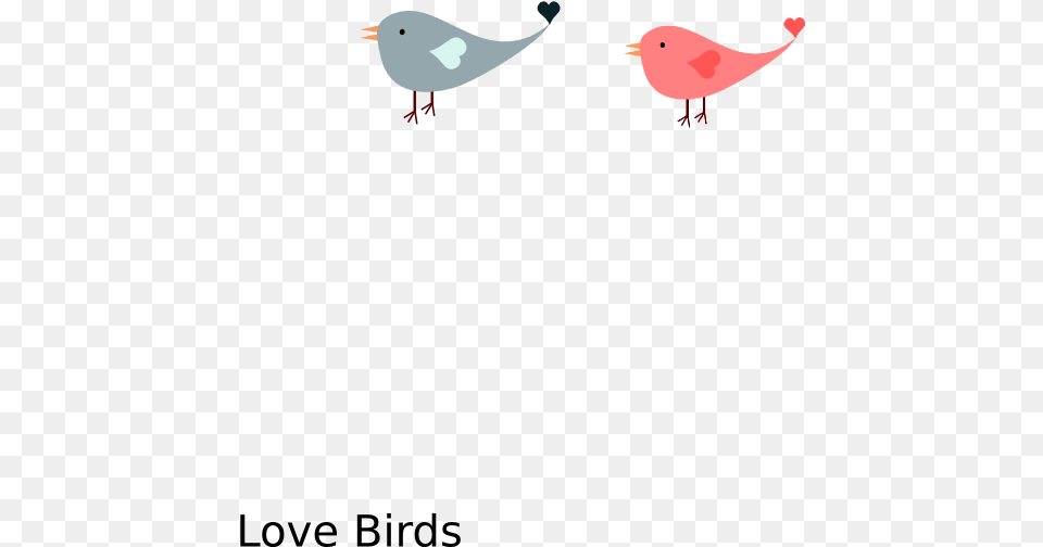 Love Bird Cartoon, Animal, Beak, Seagull, Waterfowl Free Transparent Png