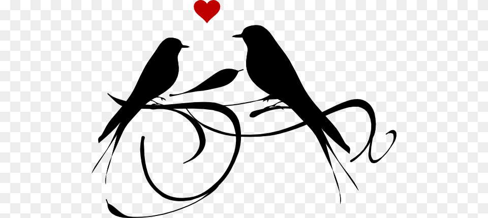 Love Bird Clipart, Silhouette, Stencil, Animal, Blackbird Png