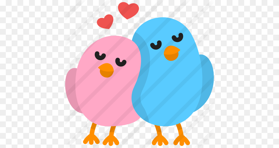Love Birds, Animal, Bird Png Image