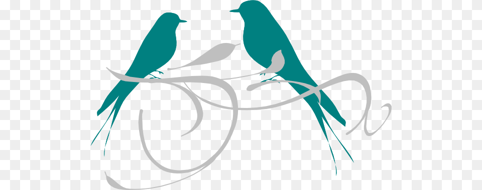 Love Birds Branch Clip Art, Animal, Bird, Swallow Png Image