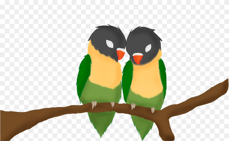 Love Birds By Anime Gambar Love Bird Anime, Animal, Parakeet, Parrot, Person Png