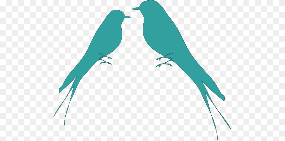 Love Birds Clip Art, Animal, Bird, Blackbird Free Transparent Png